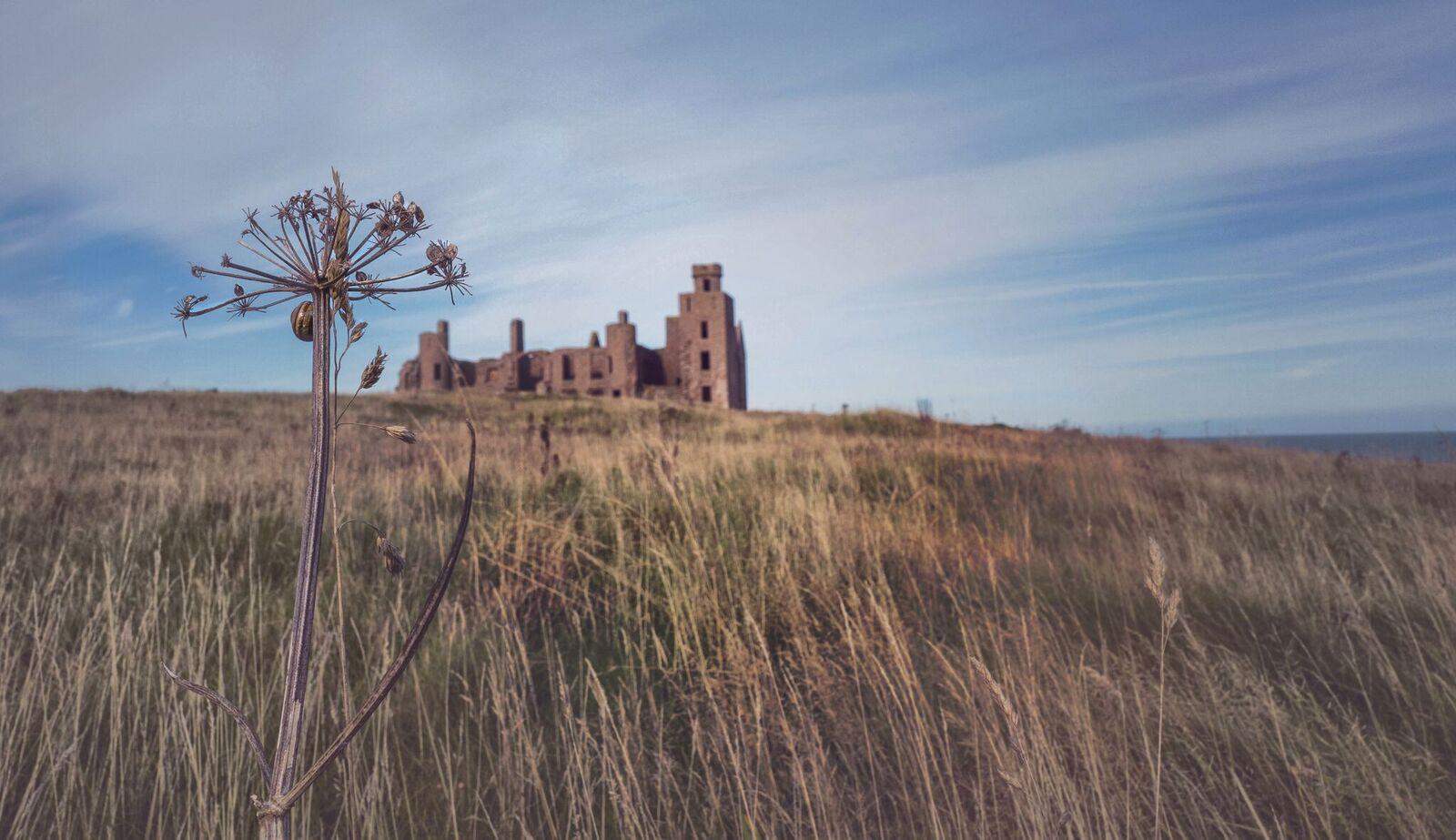 Kilmarnock Arms Hotel Cruden Bay Exterior photo